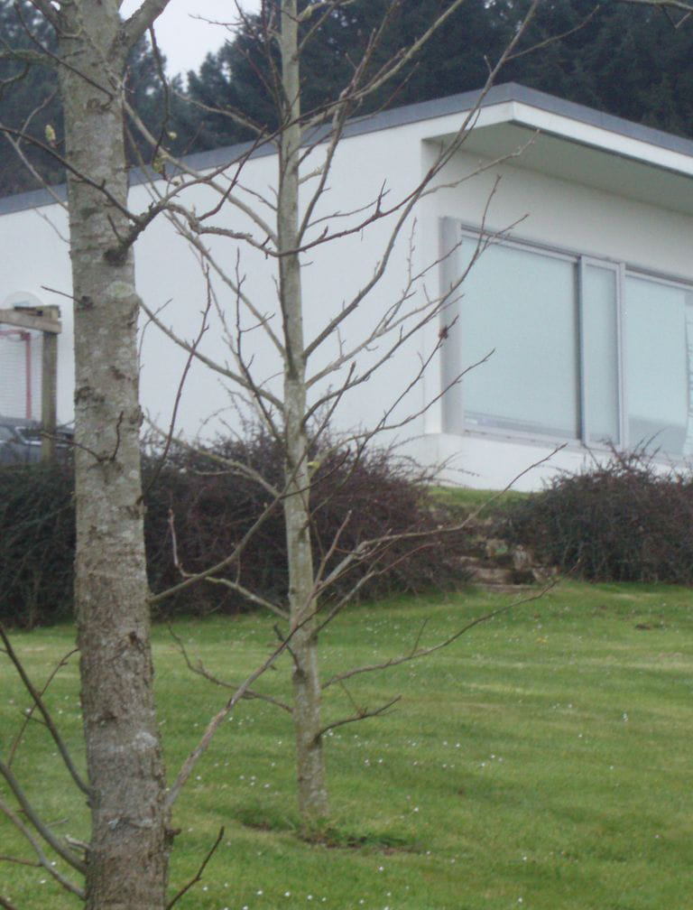 Vivienda unifamiliar Oleiros 2